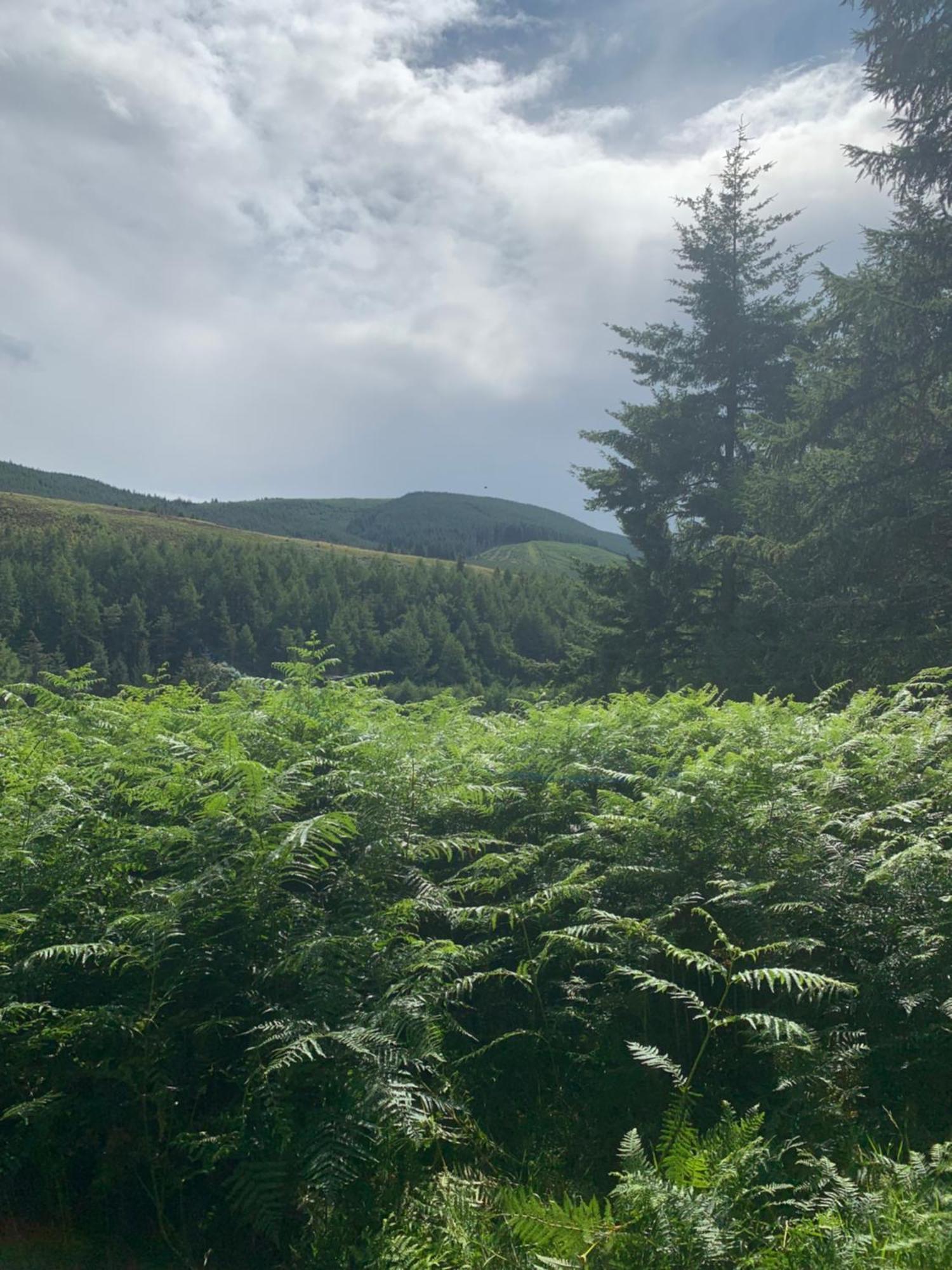 Corrie Lodge, Glendevon Esterno foto